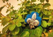 Buď členom tímu, ktorý pripravuje novú príručku o skautskom sľube