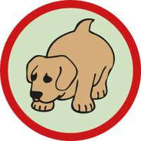 skauting-program-odborka-skauti-c-48