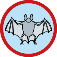 skauting-program-odborka-skauti-c-53 skauting-program-odborka-skauti-c-53