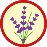 skauting-program-odborka-skauti-c-7 skauting-program-odborka-skauti-c-7