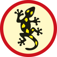 skauting-program-odborka-skauti-c-76