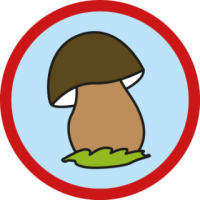 skauting-program-odborka-skauti-c-8