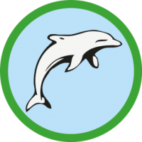 skauting-program-odborka-skauti-z-34