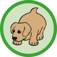 skauting-program-odborka-skauti-z-47