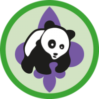 skauting-program-odborka-skauti-z-48