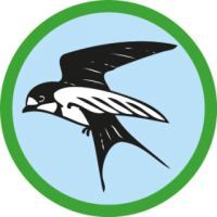 skauting-program-odborka-skauti-z-51