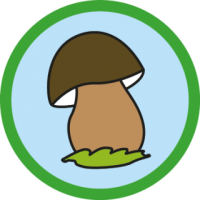 skauting-program-odborka-skauti-z-7