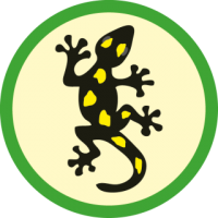 skauting-program-odborka-skauti-z-76