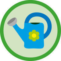 skauting-program-odborka-skauti-z-77