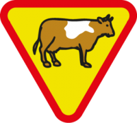 skauting-program-odborka-vlcata-26