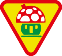 skauting-program-odborka-vlcata-4