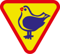 skauting-program-odborka-vlcata-9