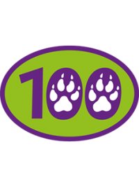 skauting-program-vyzva-vlcata-6