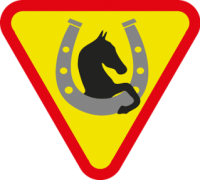 skauting-program-odborka-vlcata-44