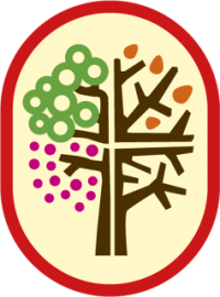 skauting-program-vyzva-skauti-30