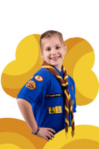 Vĺčatá a včielky