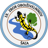 skauting-zbor-19-sala